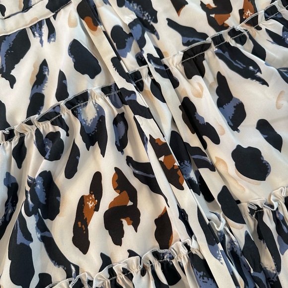 Leopard Print Dress - Picture 2 of 3